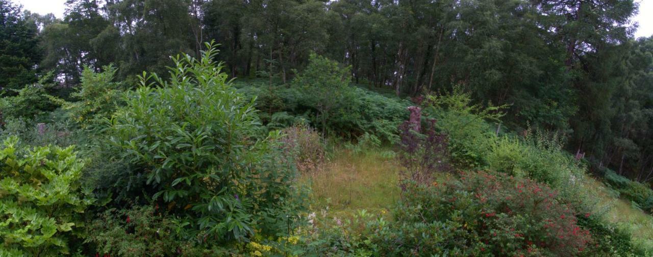 Pottery House Loch Ness Bed and Breakfast Inverness Exterior foto